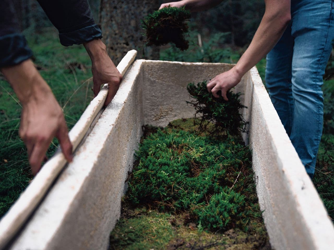 Living Coffin