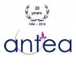 antea h