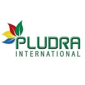 pludra