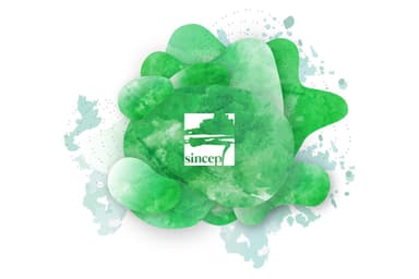 thumbnail_Sincep_Logo2021