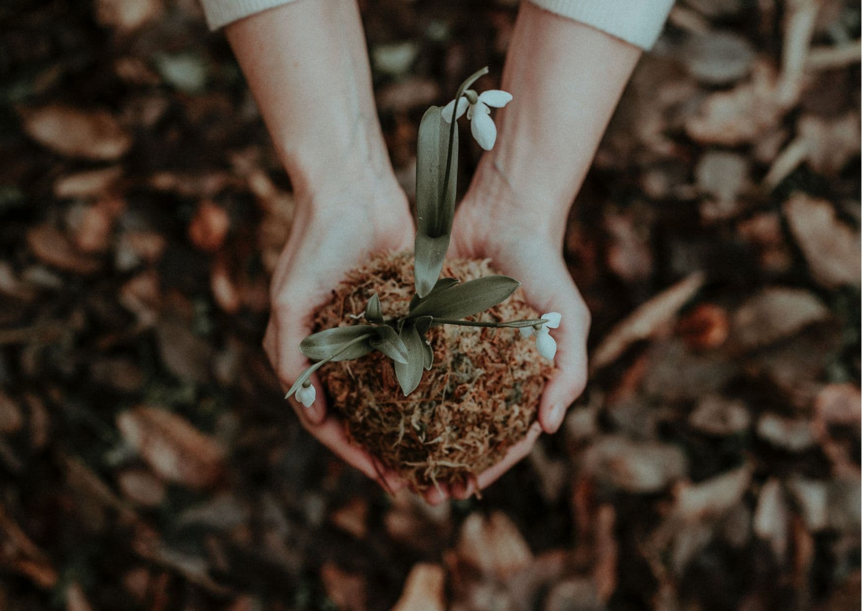 www_composting
