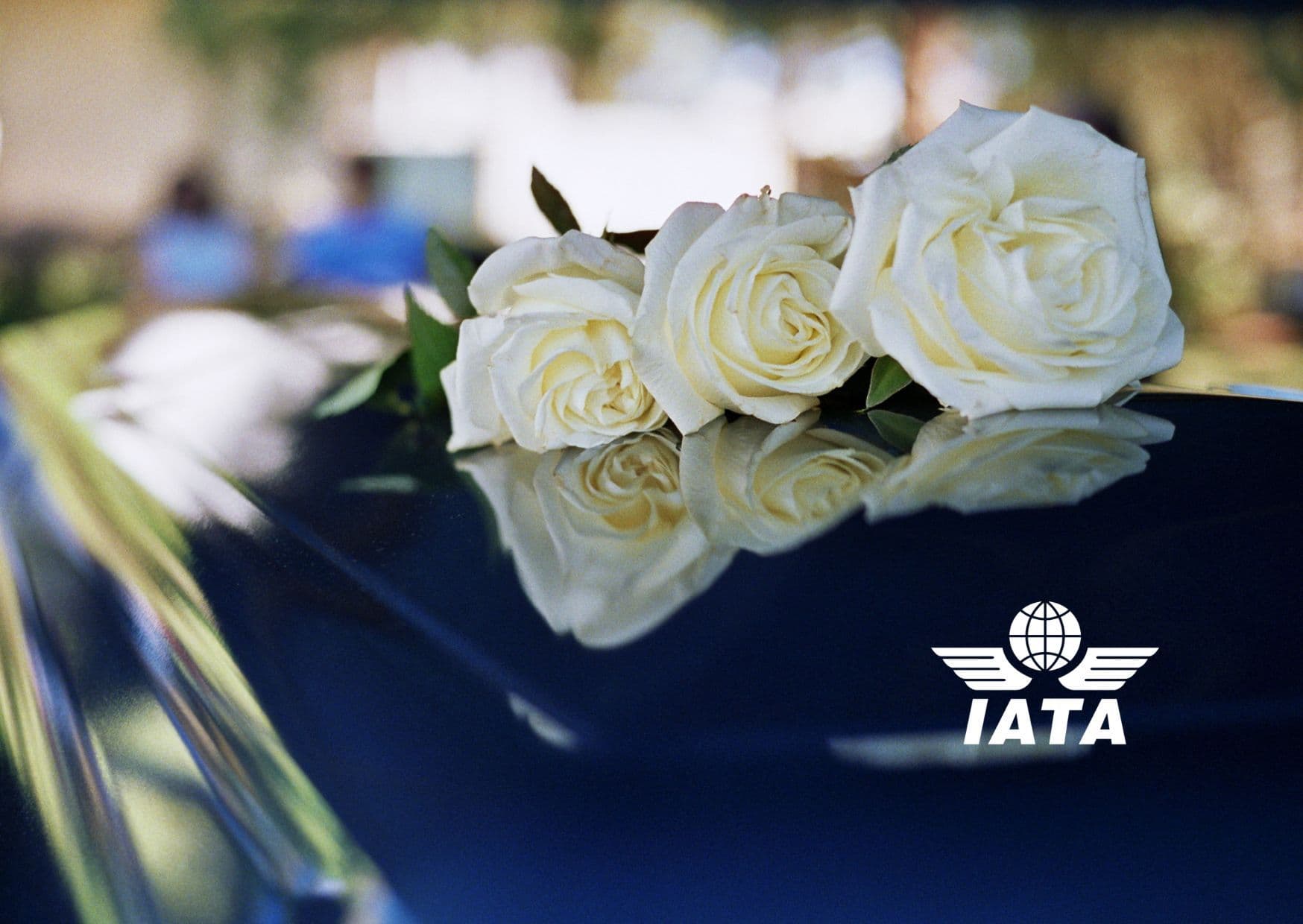 www_iata_2024