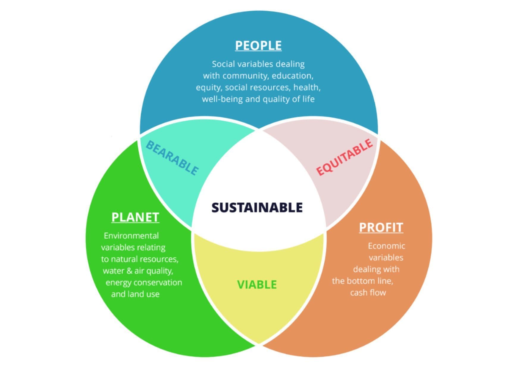 www_sustainability_wykres