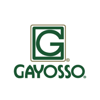 Logo_Gayosso